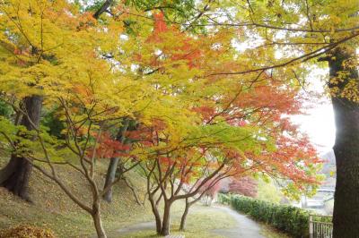 今年も竜田公園の紅葉へ 2023.11.25