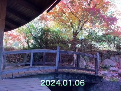 せせらぎの湯「花水木」の紅葉　☆前編