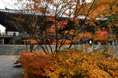 西国二十五番霊場の播州清水寺