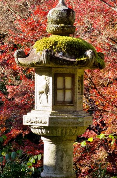 いい夫婦の日に京都紅葉～鞍馬二ノ瀬「白龍園」