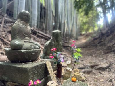 四国八十八ヶ所霊場 ホンキの歩き遍路 ＜徳島区切り打ち＞ 5日目 18番恩山寺～19番立江寺