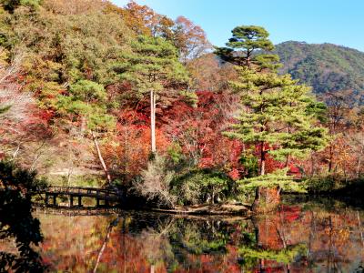 2023 秋・神戸市立森林植物園へもみじ狩り