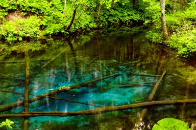 網走/知床/紋別ぐるり旅【1】~神さまからの贈り物~神の子池