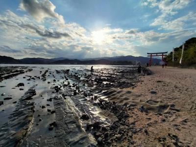 2023年11月 宮崎・青島 ゴルフ 宴会の旅＋青島神社参拝