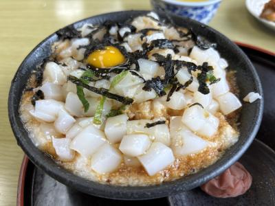 福井を食べ尽くす旅2023③（初めてのジップラインと、ドライブインよしだのイカ丼）