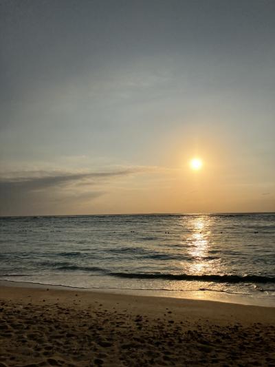 次男(高校2年)と行く、沖縄の城巡りとグルメ