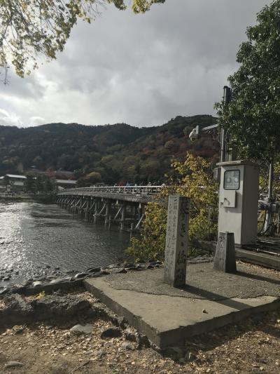 紅葉の嵐山、渡月橋はめちゃ混み