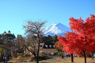 河口湖のハーブ館2023(山梨県河口湖町)へ・・・