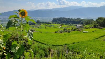 長野で日本の原風景(夏の田舎)を感じる！！【青春18きっぷ・1泊2日】