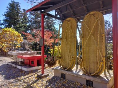 竹寺～子の権現～東郷公園　　　2023.11