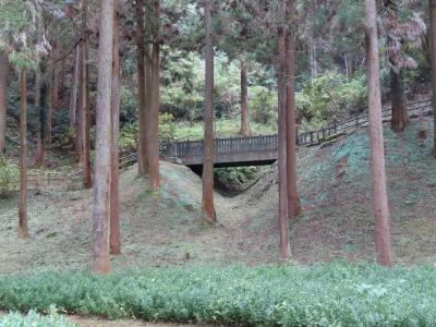 八王子城跡 八王子 2023/11/16