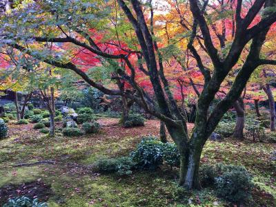 京都・紅葉見頃の哲学の道「葵ホテル 南禅寺別亭 看月亭」宿泊記(ブログ)と 近又, 圓光寺, 詩仙堂