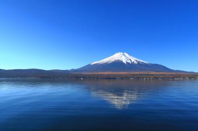 山中湖2023(山梨県山中湖村)へ・・・