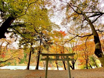 2023.11 福知山の紅葉(長安寺・天寧寺・福知山城)