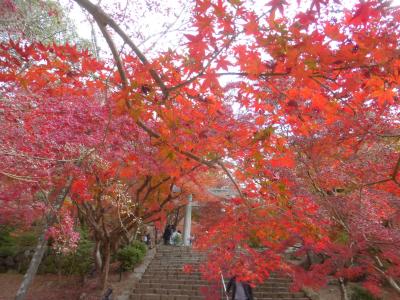 大宰府「宝満宮 竈門神社」の紅葉２０２３【宝満宮竈門神社で紅葉狩り編】