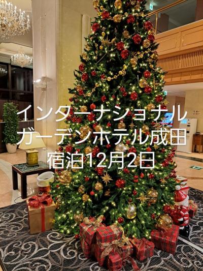 インターナショナルガーデンホテル成田宿泊12月2日