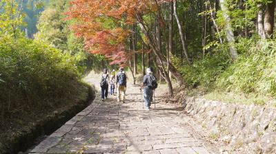 旅人気分で歩く中山道　　中山道往来(ｳｵｰｸ)　細久手宿から御嶽宿へ 　