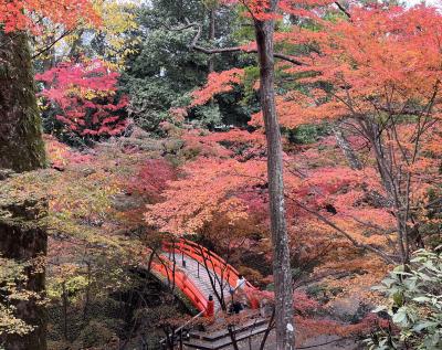 ⑪マダムの　絶景の京都　ライトアップと15社寺めぐり３日間　２日目の４　北野天満宮・もみじ苑