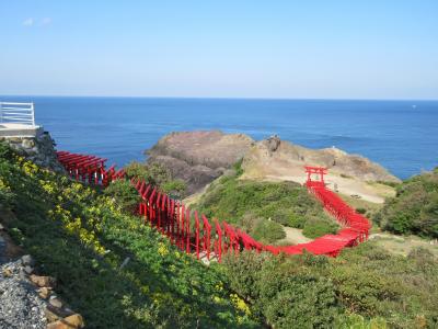 写真撮りに元乃隅神社と角島大橋