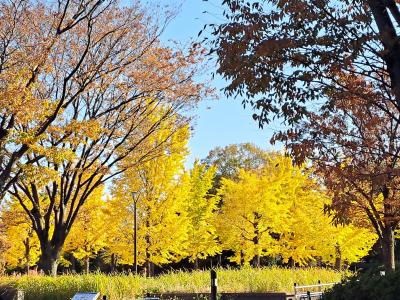 歴史・自然・現代アートを感じる！てくてく立川まち歩き