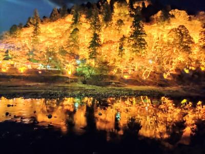 紅葉終盤の愛知☆1日で白鳥庭園→熱田神宮→香嵐渓を大満喫