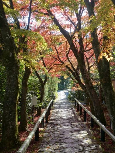 2023秋の京都　その３～鷹峯散策、常照寺・源光庵・光悦寺からしょうざんリートへ
