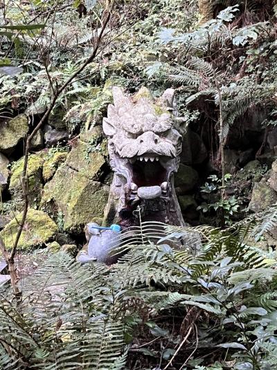 初めての鹿児島③  霧島　二人旅