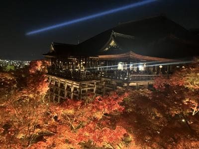 2023.11.28(火)京都秋の紅葉 智積院/清水寺/天授庵/永観堂/ライトアップ