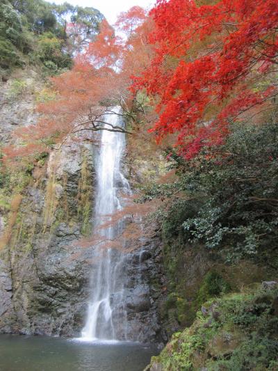 箕面の大滝と紅葉
