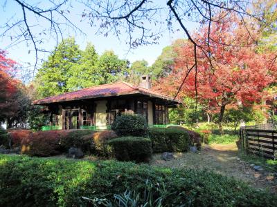 都内の紅葉散策＜１＞　飛鳥山～王子神社