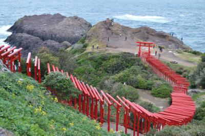 山口★秋旅　角島＊千畳敷＊元乃隅神社　海の３つの絶景めぐり(^^♪