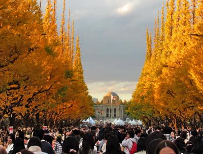 都内の紅葉散策＜２＞　皇居～神宮外苑