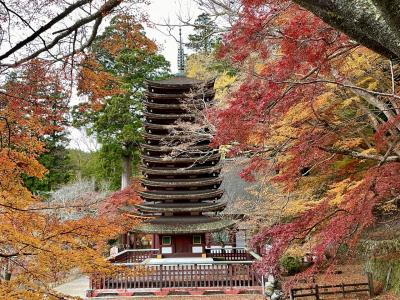 2023紅葉散歩　十三重塔　晩秋の談山神社へ