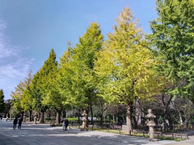 晩秋の東京、街歩き。