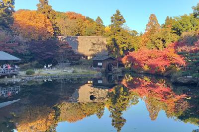 ■ 東山動植物園、紅葉を愛でる旅　2023年