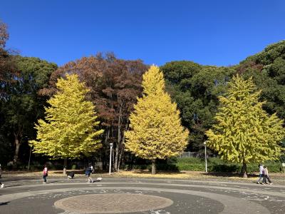 代々木公園と渋谷を散策