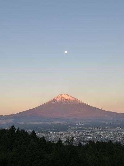 山水館欣龍　レンブラントプレミアム富士御殿場　ハーヴェスト浜名湖　浜松城　掛川花鳥園　三保松原　久能山東照宮　岡崎城！　　