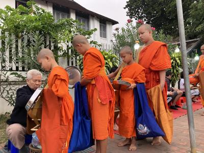 東南アジア一人旅　ラオス編　ゾウにも乗ってみました。