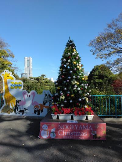 野毛山動物園とヨルヨノ　　2023.11