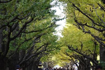 神宮外苑の銀杏～損保美術館のゴッホ～☆浜省前後の東京美術館と銀杏巡り・会津周遊ひとり旅⑥２日目