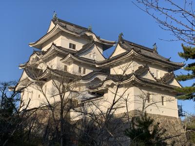 2023年11月 秋の大阪、三重、奈良、和歌山のお城を巡るドライブ旅-1