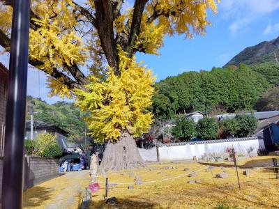 焼き物に浸る有田・伊万里、おまけの平戸 その1