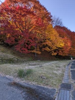 東三河の歴史と名古屋飯の旅