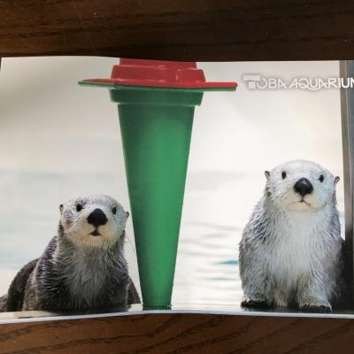 鳥羽水族館へラッコたちに癒され旅。