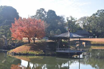 巡るJapan　後楽園　岡山２０２３