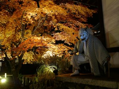 2023年秋の京都　1.幻想的な鹿王院のライトアップ