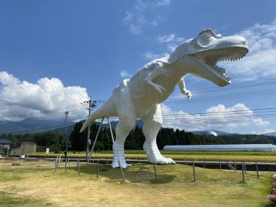 夏の日本海、美食旅（小浜・福井）