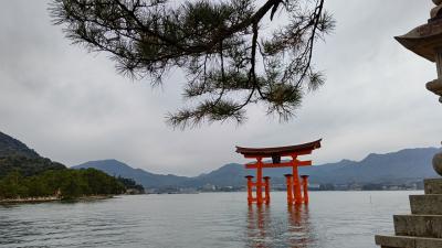 名古屋発着ツアーで広島へ…【その2　宮島＆尾道】