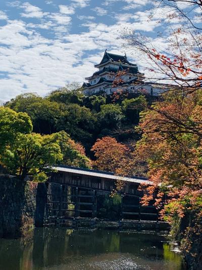 2023年11月 秋の大阪、三重、奈良、和歌山のお城を巡るドライブ旅-2