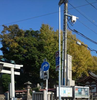 鎌倉、湘南街歩き